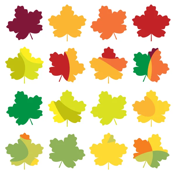 Set di foglie d'acero autunnale colorate — Vettoriale Stock