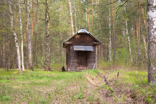 Lonely Wooden Hut Forest — Stock Photo, Image
