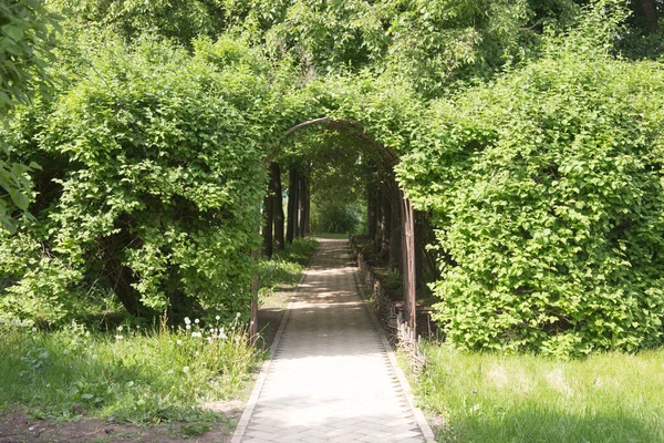 花园垂直的绿色隧道或泊位 — 图库照片