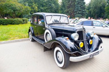 İnsan Eli Besleyen Sincap Arkaplanı