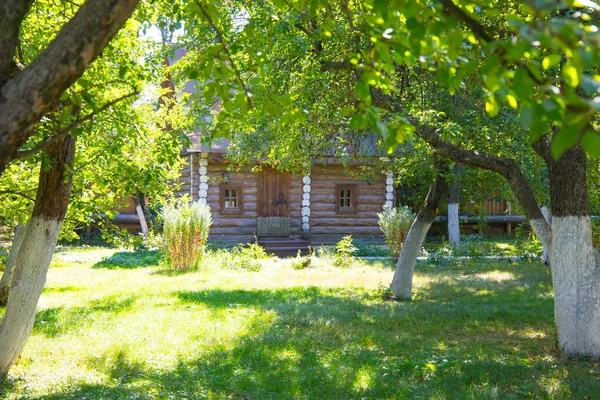 Old Wooden House Apple Orchard Summer — Stock Photo, Image