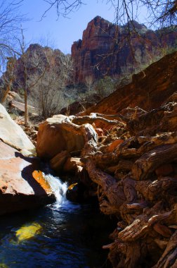 Utah 'ın Zion Ulusal Parkı' ndaki kayalıkların üzerinden ilkbahar erken bir zaman deresi akıyor..