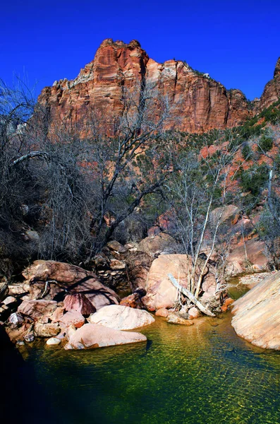 Ruisseau Source Dans Parc National Sion — Photo