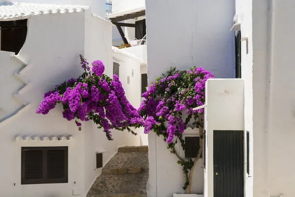 Alley with flowers fishing village, Menorca, Spain — Stock Photo, Image