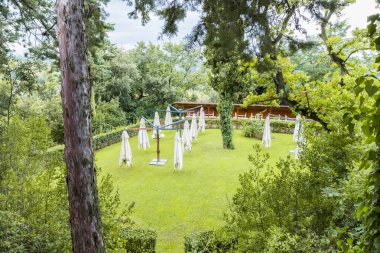 Şemsiye ile açık yeşil alan