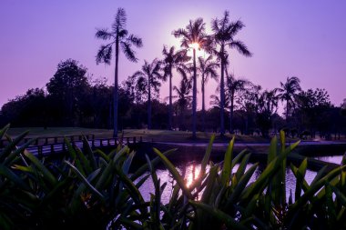 Günbatımında golf sahası