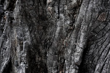 Yanık ahşap orman yangını