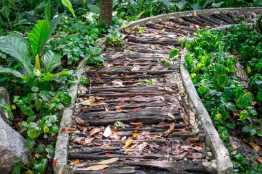 Demiryolu kravat tarafından yapılan orman ile güzel yolu