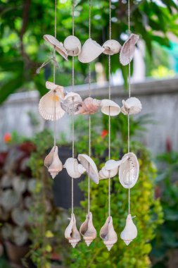 Seashell Ağaçta asılı mobil