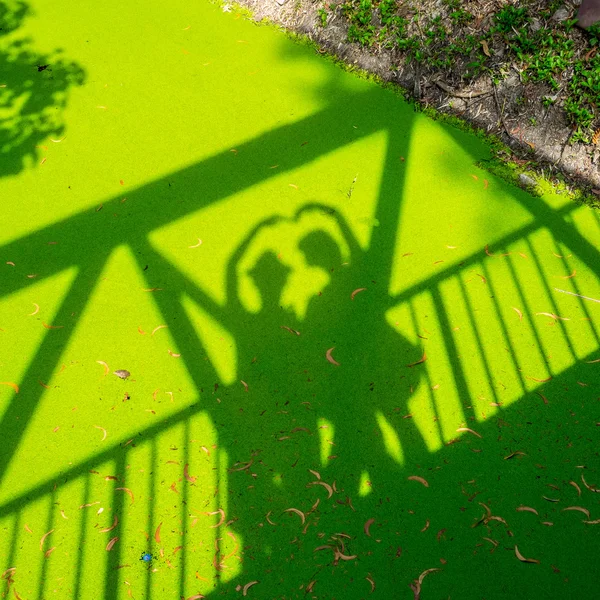 Schaduw van liefde op groene Kroos — Stockfoto