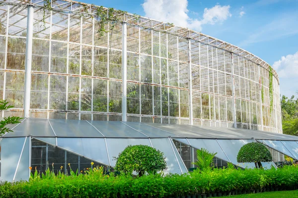 Öffentlicher überdachter Garten - Bangkok, Thailand — Stockfoto