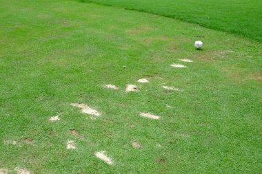 Divot zemin kolyesi golf üzerinde