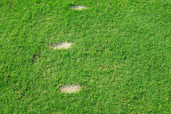 Divot zemin kolyesi golf üzerinde