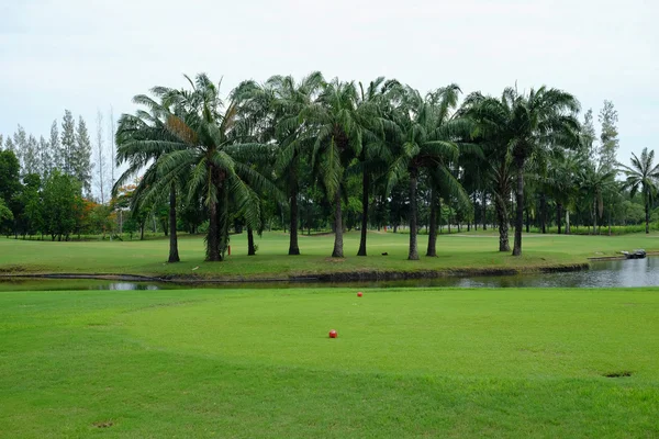 Beautiful view of teeing ground — Stock Photo, Image