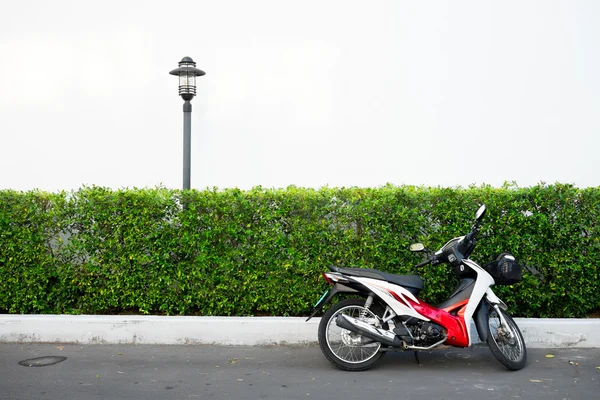 Motocykl, parkování před rostlin Bushe — Stock fotografie