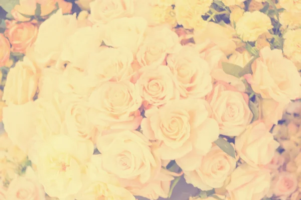 Roses background — Stock Photo, Image