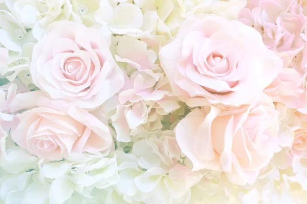 Focus morbido di fiori di rose su colore dolce — Foto Stock