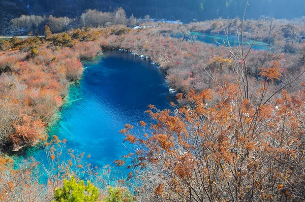 Jezioro kolorowy w Jiuzhaigou, Chiny — Zdjęcie stockowe
