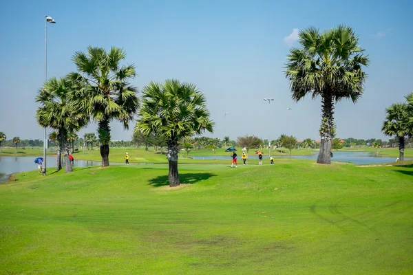 People playing golf — Stock Photo, Image