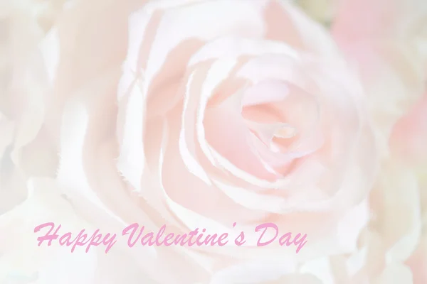 Happy Valentine's Day on sweet color rose — Stock Photo, Image