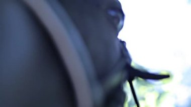 fotoğraf makinesinin at koklama burun