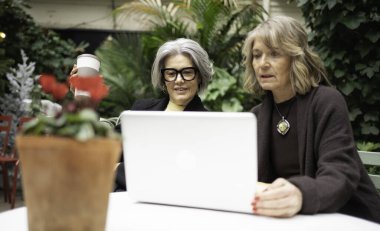 İki son sınıf öğrencisi laptopla iş birliği yapıp yemyeşil bir kafede kahvelerini yudumluyorlar.