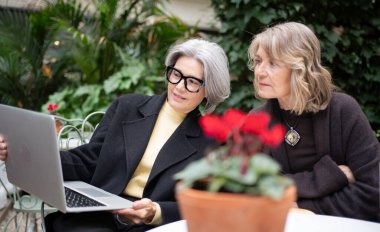 İki kıdemli iş kadını bahçede dizüstü bilgisayarda birlikte dijital beceriler öğreniyor.