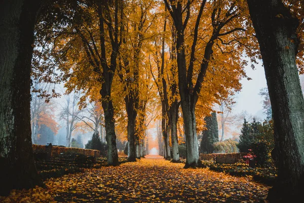 Fußweg im Herbst eine Absenkung — Stockfoto