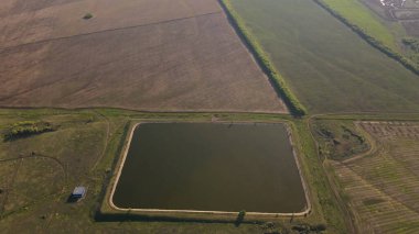 Rus Doğa Nehri Ormanı Güneş Dağı Yaz Altai