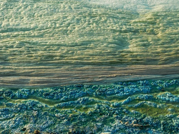 Glony Kwitnące Niebiesko Zielone Algi Woda Kwitnąca Jako Tło Lub — Zdjęcie stockowe