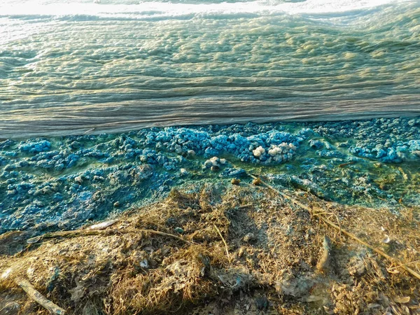 Ungewöhnliche Wassertextur Blaualgen Und Schaum Auf Der Wasseroberfläche — Stockfoto