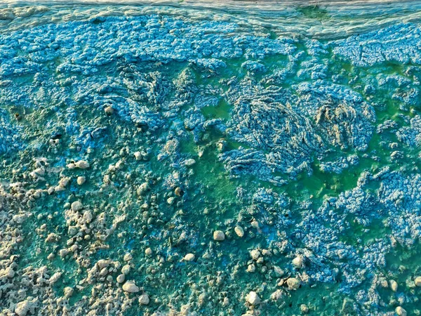 Mousse Avec Fond Texture Fleur Algues Plage Verte Eau — Photo