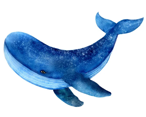 Blue whale, ocean animal, mammal, watercolor illustration — Stock Photo, Image
