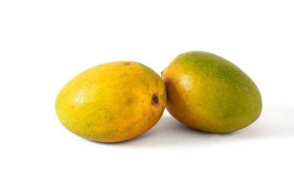 Indian Mango White Background — Stock Photo, Image