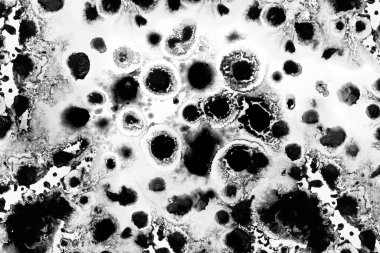 Yağ mürekkebi, boya, soyut sıçrama. Yakın çekim siyah soyut el çizimi arka plan. Yüksek desenli yağlı boya..