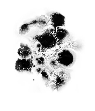 Yağ mürekkebi, boya, soyut. Yakın çekim siyah soyut el çizimi arka plan. Yüksek desenli yağlı boya..