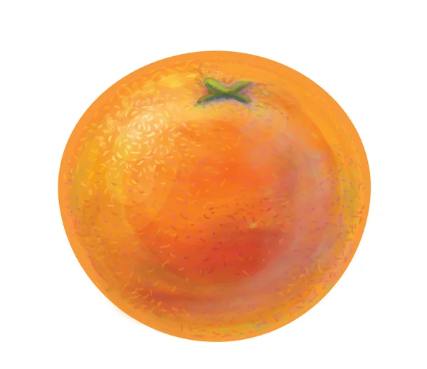 Orange fruit vector  - hand drawn digital painting of fresh ripe citrus, isolated on white. Classical oil painting or watercolor style. Textured fruit orange. Image contain transparency. Eps 10. — Stock Vector