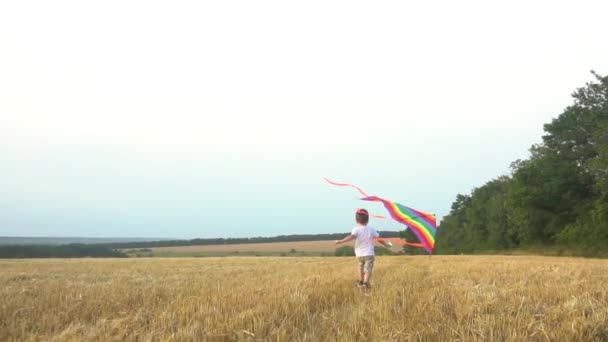 Um garotinho corre por um campo de trigo cortado e lança um papagaio. Palha de trigo. Movimento lento. — Vídeo de Stock