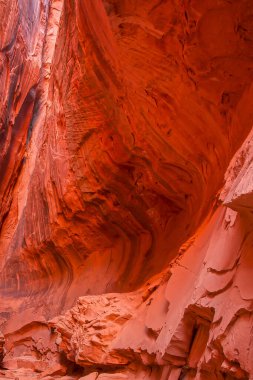 Escalante Çölü, Utah Uzun Kanyon Yuvası