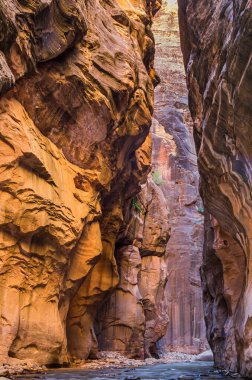 Zion Ulusal Parkı, Virgin Narrows Nehri