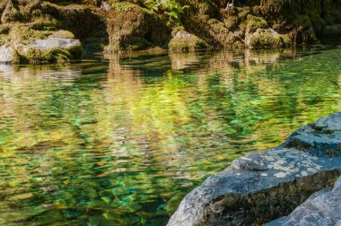Opal Creek Vahşi doğada geziniyor.