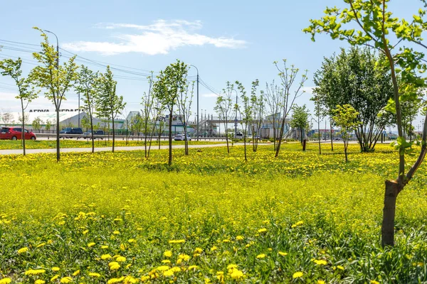 Baharda Yerofey Arena 'nın yanındaki meydanda.