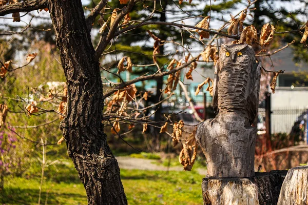 Evlerin, reklam aslanların ve diğer figürlerin olduğu park yeri.