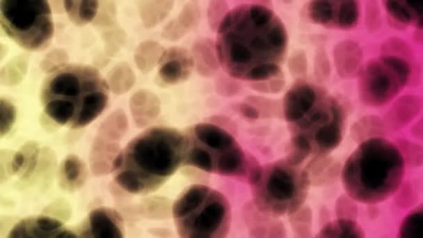 这个循环动画视频显示了一个粉色和黄色梯度 桃皮概念U 的抽象液体背景与等离子细菌视觉幻影和动态循环效果 — 图库视频影像