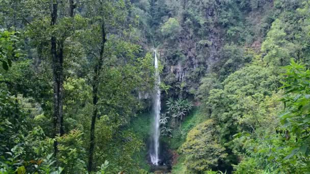 Concept Wide View Waterfall Coban Watu Waterfall — стокове відео