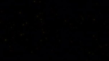 11-L1 konsepti Gece parlayan uçan ateş böcekleri görüntüsü (uçuş davranışı) ve parıltılı animasyon.