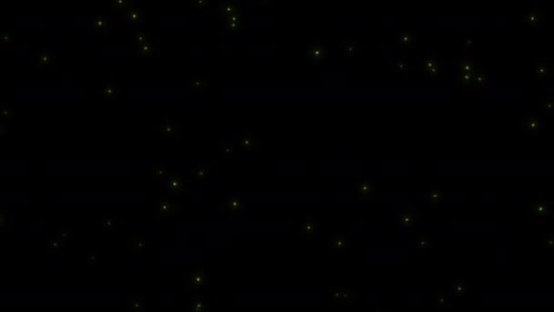 Koncept Pohled Létající Světlušky Zářící Noci Letícím Pohybem Letovým Chováním — Stock video