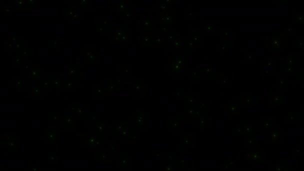 하늘을 반딧불에 애니메이션으로 반딧불의 — 비디오