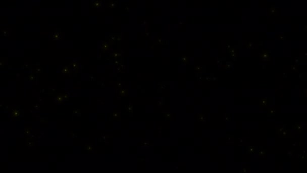 Concept View Flying Fireflies Glowing Night Flying Motion Flight Behaviour — Stock Video