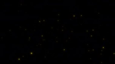 Uçan ateş böceklerinin gece parlayan konsept-L1 görüntüsü (uçuş davranışı) ve ışıltılı animasyon.